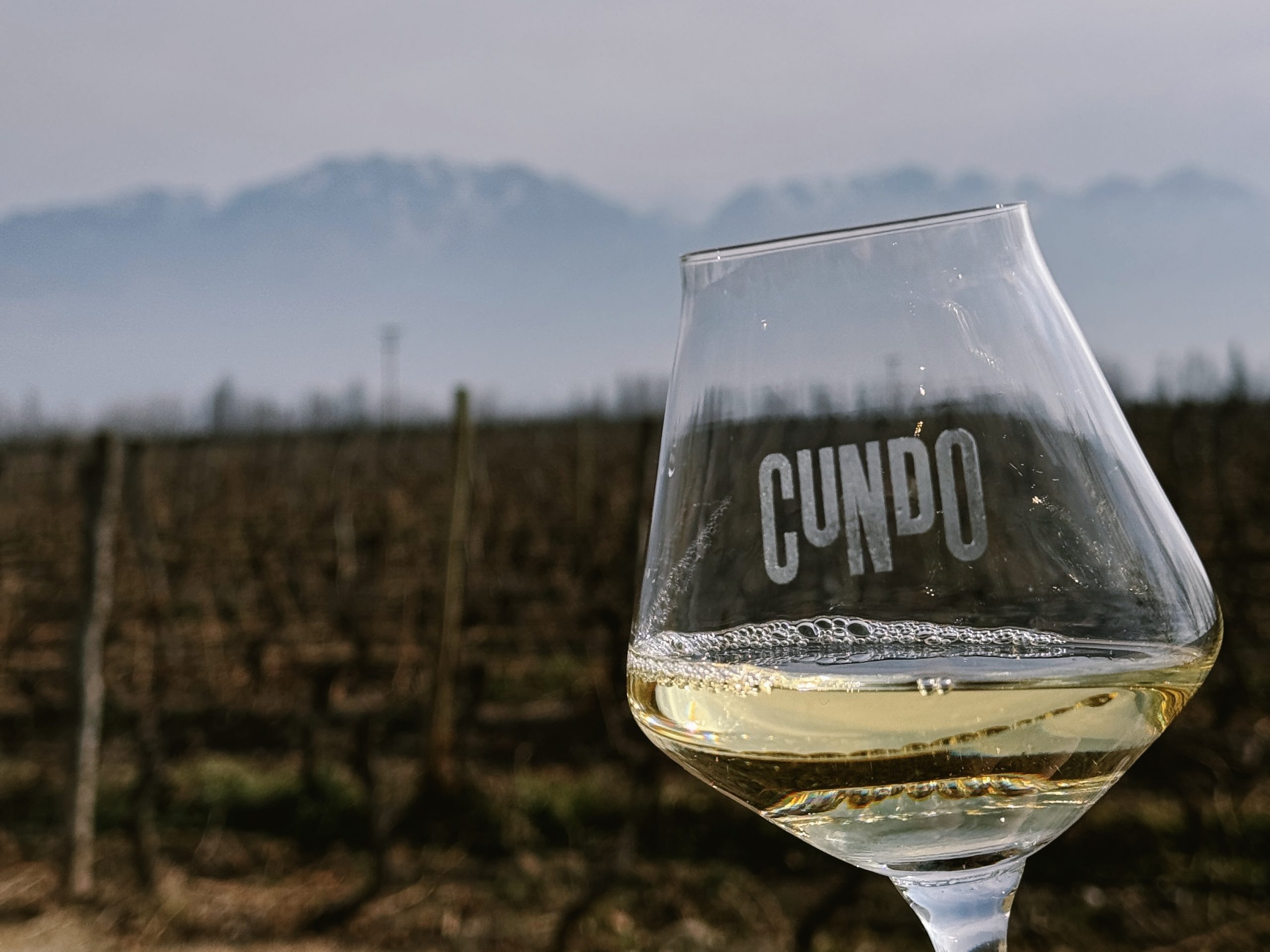 Logbuch #6 – Mendoza