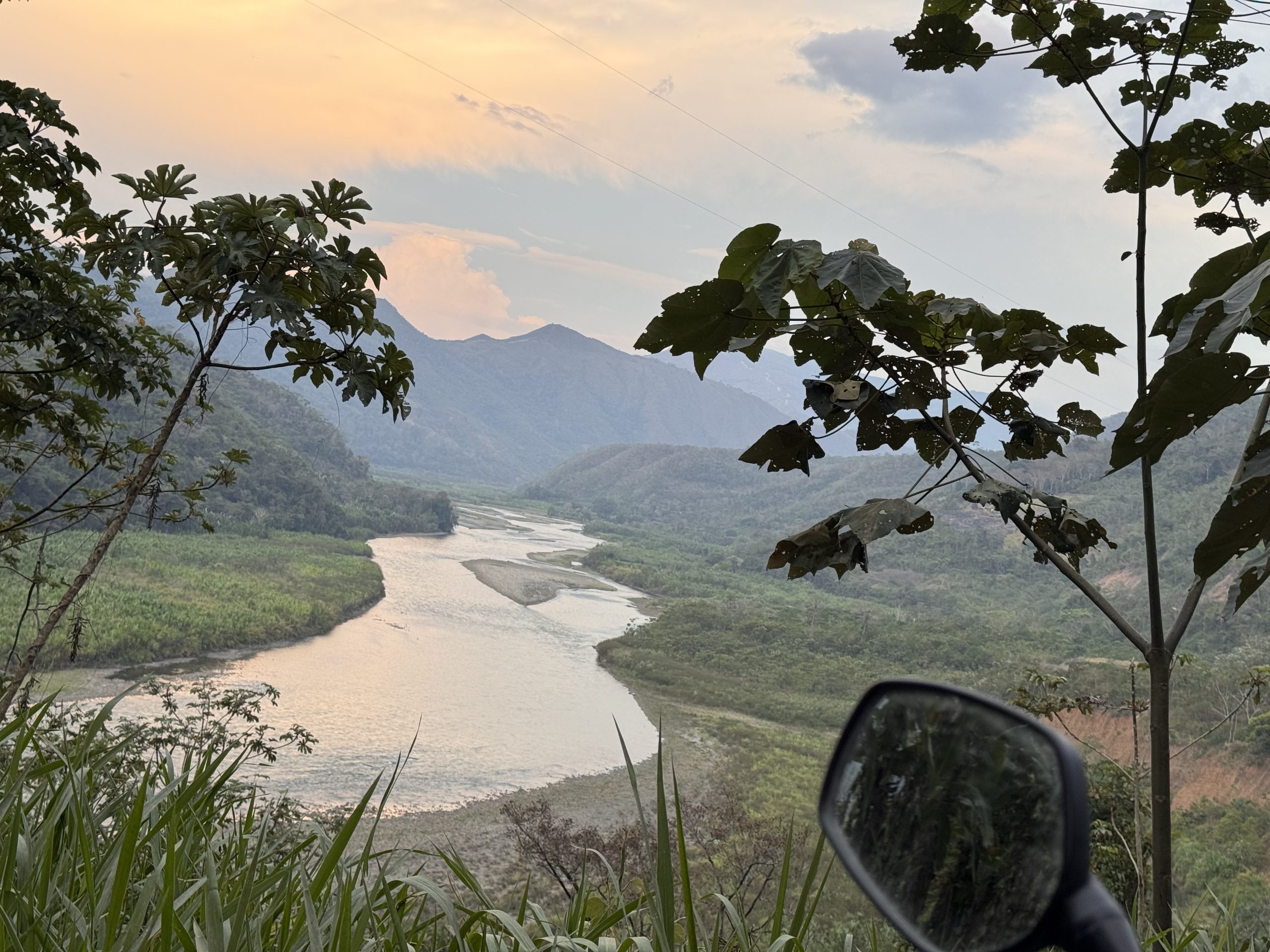 Logbuch #17 – Andenregenwald