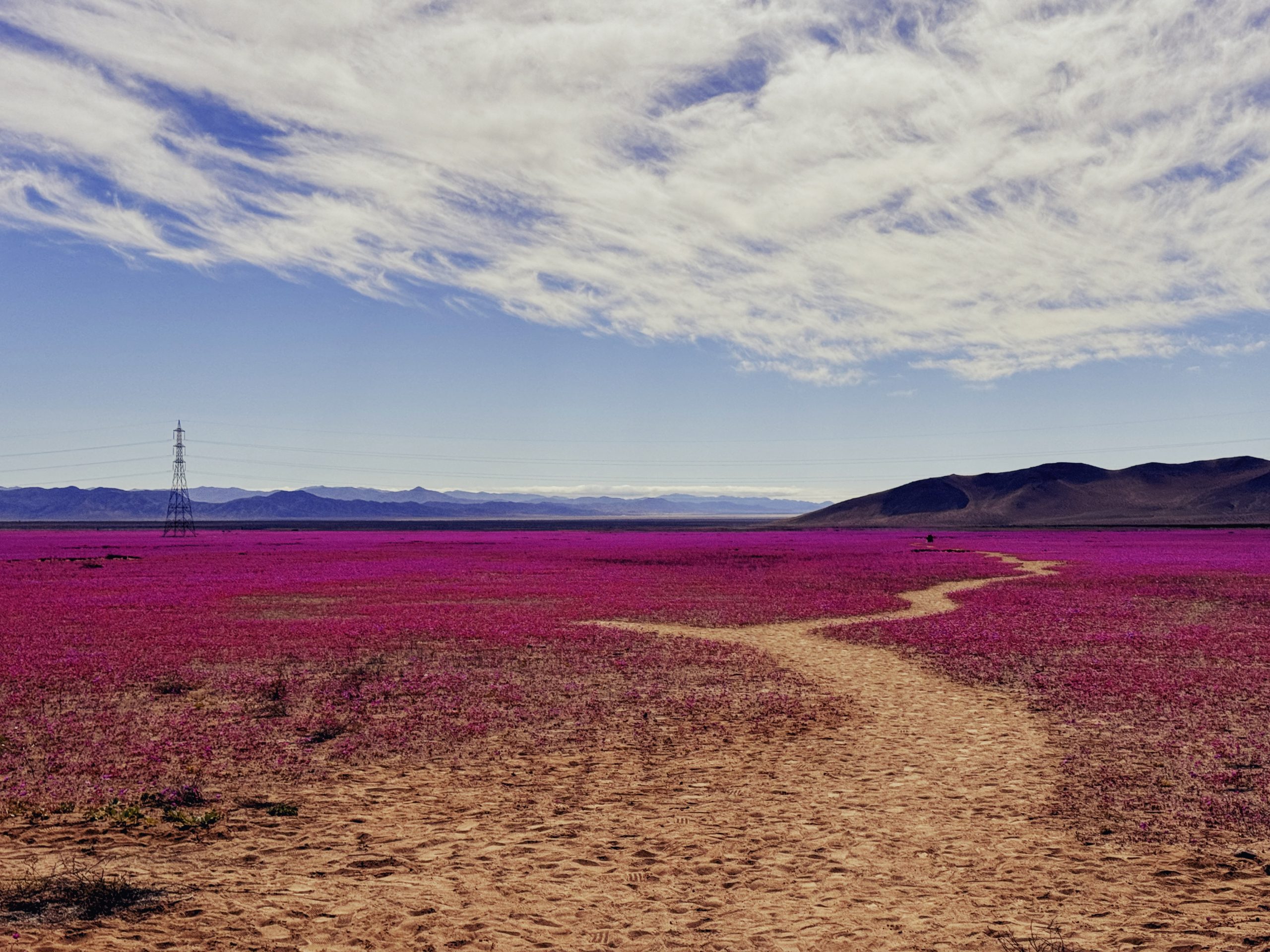 Logbuch #22 – Calama bis Valparaiso